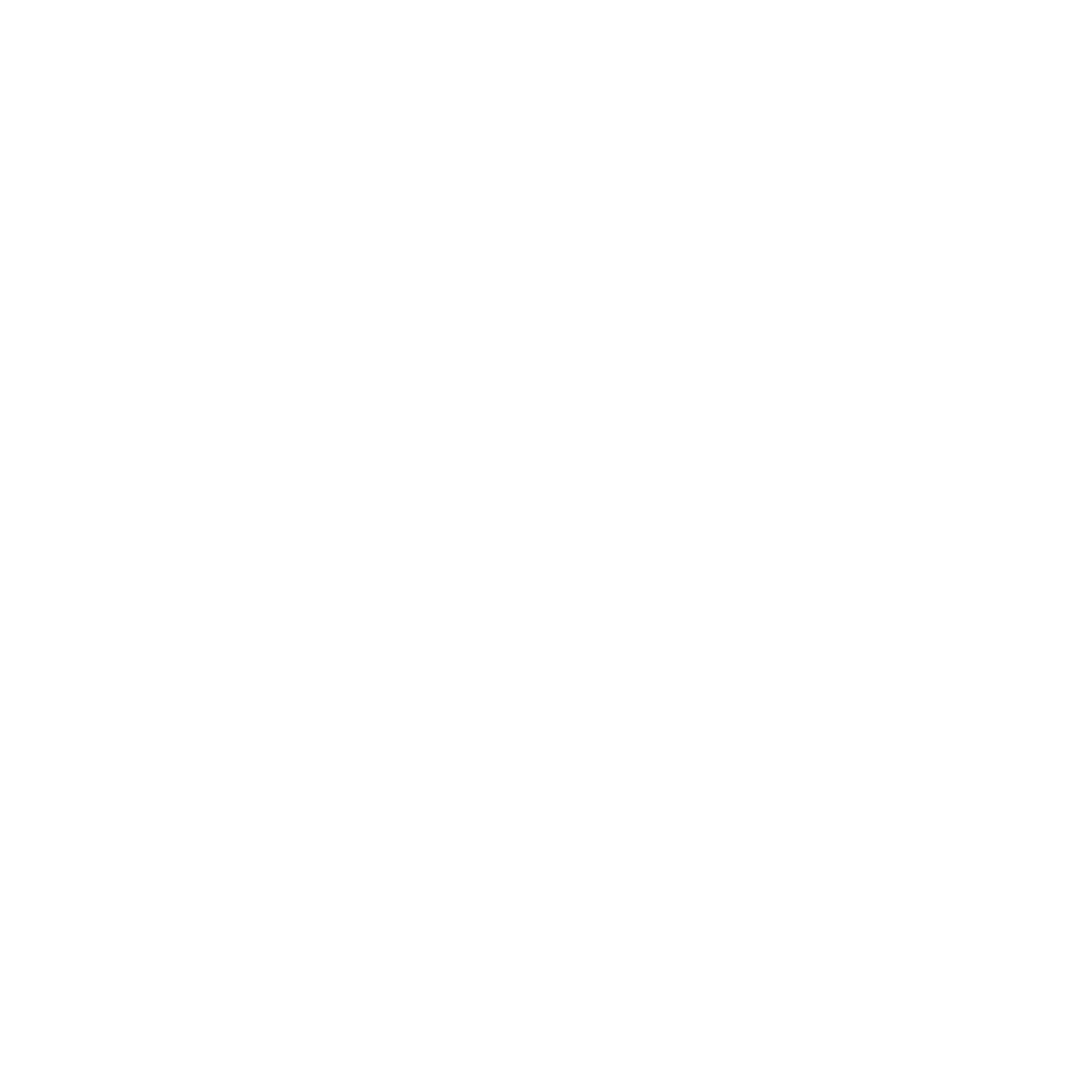 TAM Spirit
